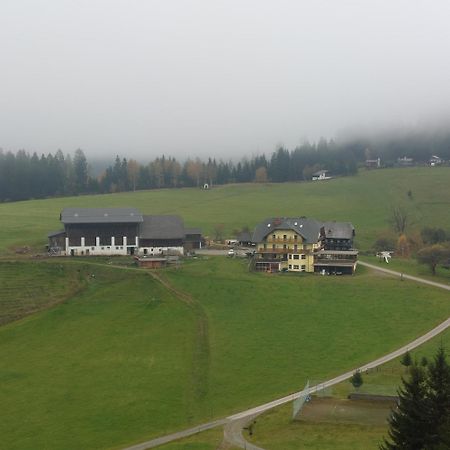 Almgasthof Spitzer Sankt Stefan ob Leoben Kültér fotó