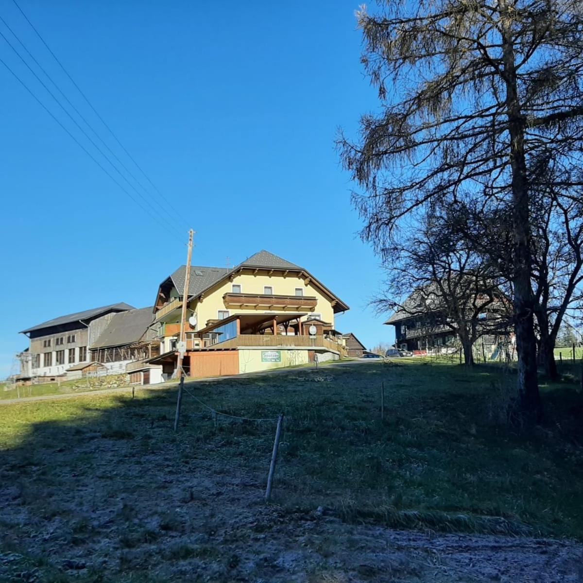 Almgasthof Spitzer Sankt Stefan ob Leoben Kültér fotó